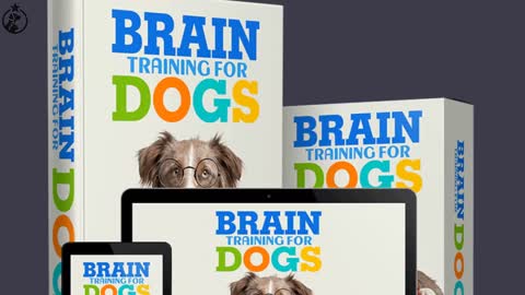 How To Train Your Dog with Basic Commands