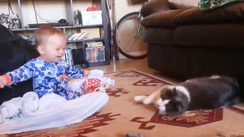 Funny and cute cats and babies playing