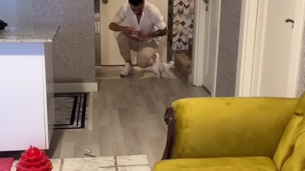 Prenses dışarı çıkmak için çok heyecanlı🥰❤️