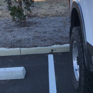 2017 F350 6.7 cold start 12*
