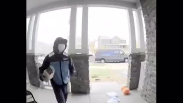 Delivery Drop. And Fall. Funny. 😂
