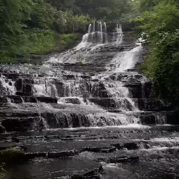 PERFECT NATURE ART EXAMPLE!