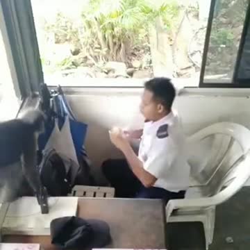 Daylight robbery, victim surrender