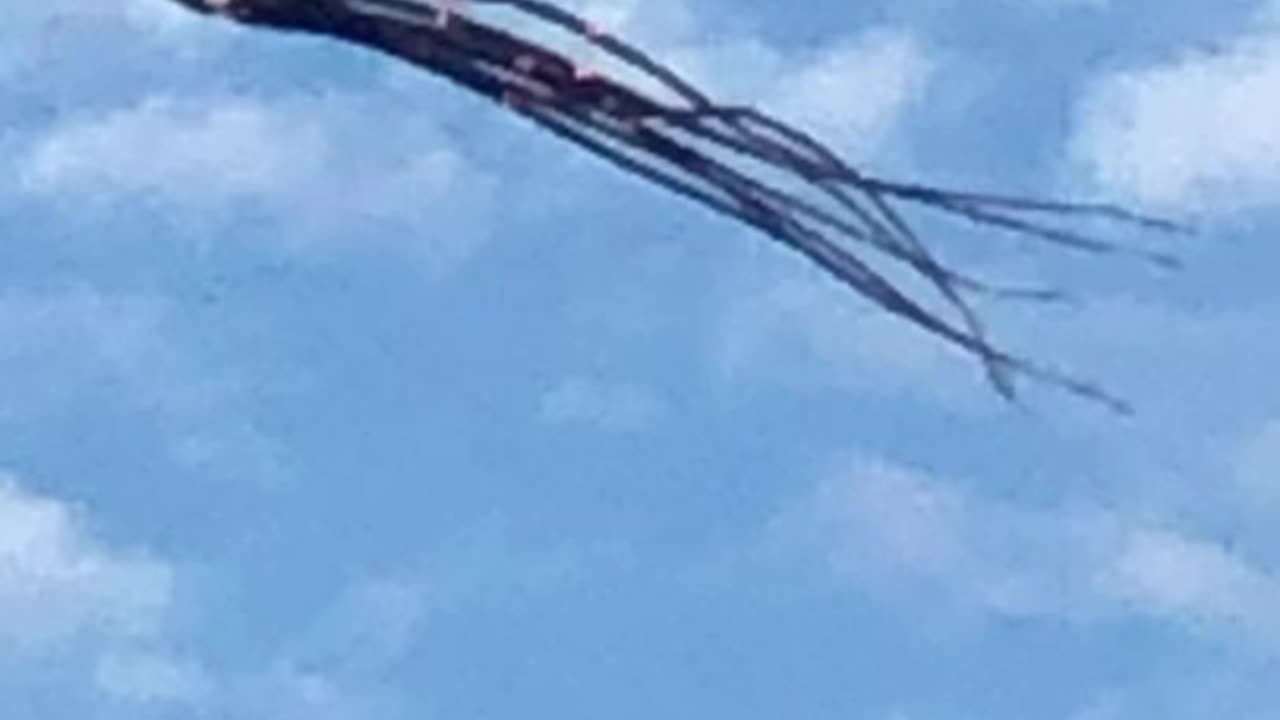 Octopus 🐙 kite 🤚😅.mp4