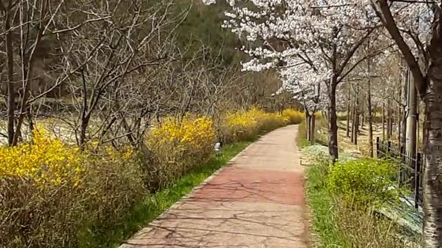 Martyr's Mountain Shrine(치명자성지, 2021/3/30)