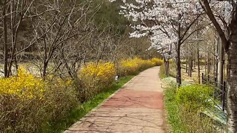 Martyr's Mountain Shrine(치명자성지, 2021/3/30)