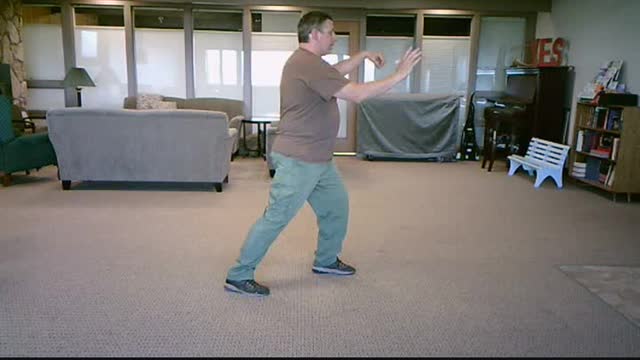 Hunyuan 24 form posture 07 - Walk Obliquely and Twist Step