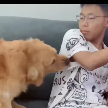 How to Remove Competition,To Stay Close To His Master ???