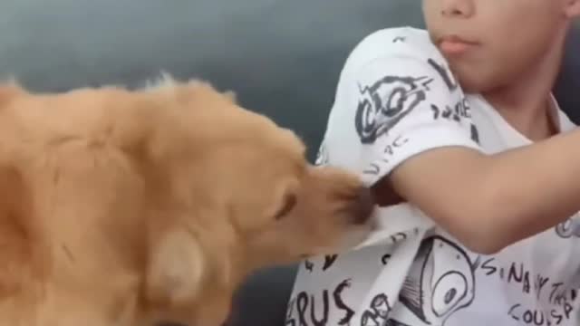 How to Remove Competition,To Stay Close To His Master ???