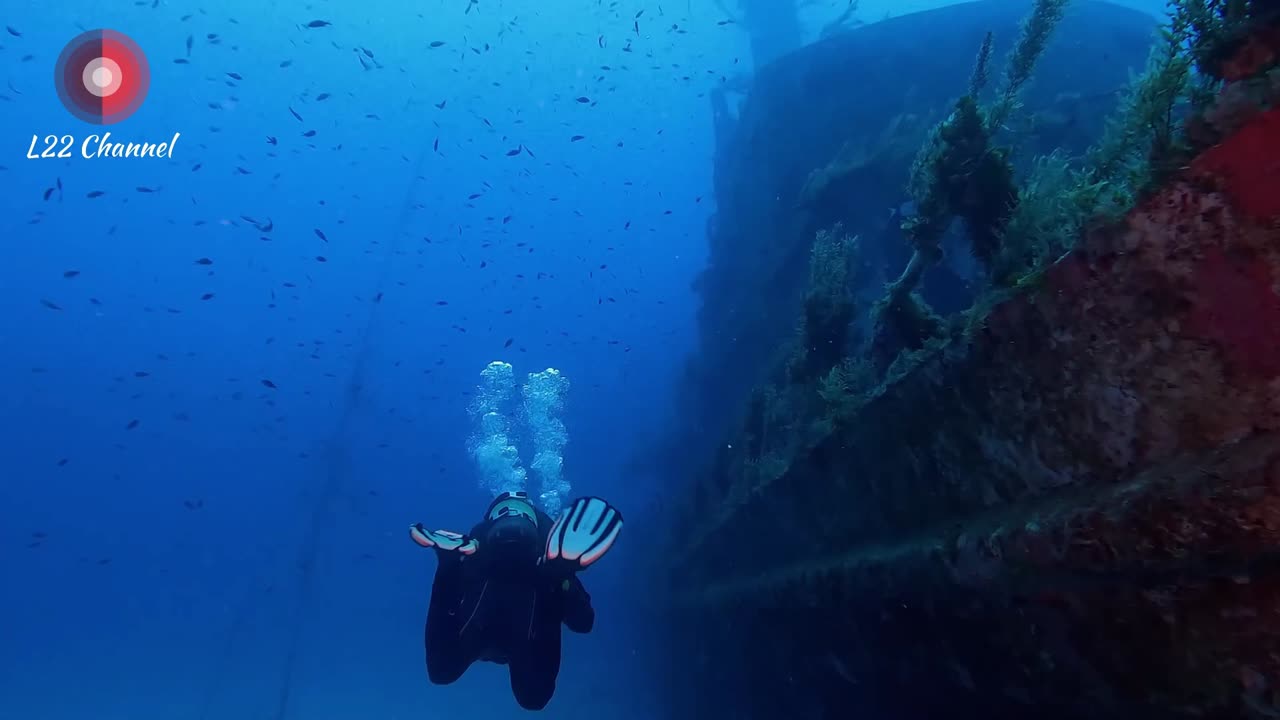 Bajo el mar