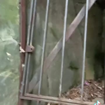 why would this be in the middle of the woods?