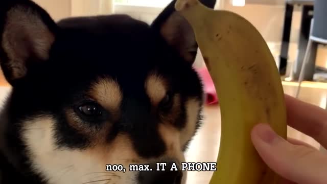 Max, you are recieving a call