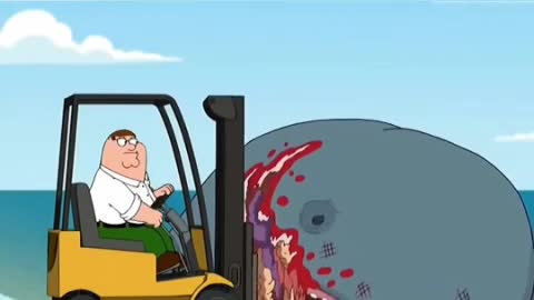 Peter killed whale