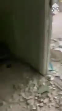 Battle of Severodonetsk