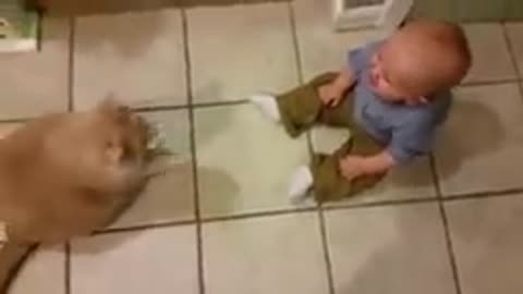 Baby and cat video