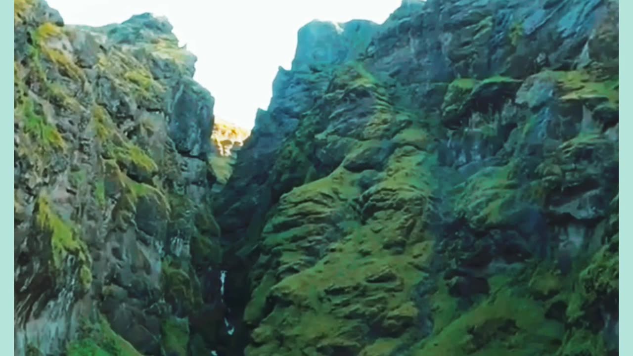Nature