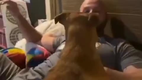 Scare your dog to see their reaction