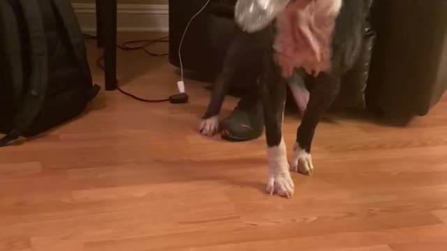 Pacifier please!