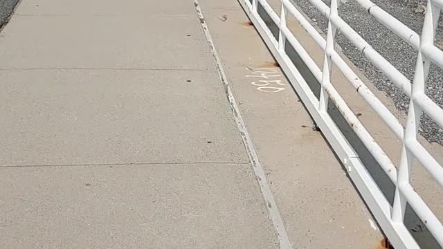 Biking on Deer Island, Winthrop, MA