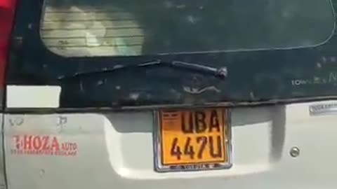 Goat riding on top of a car in Africa