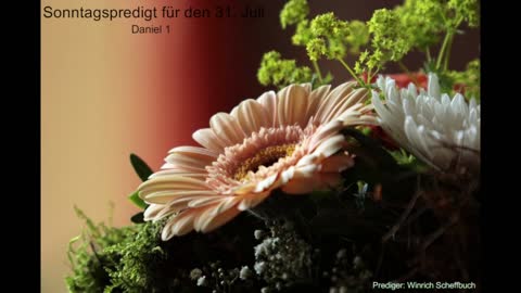 Sonntagspredigt für den 31. Juli