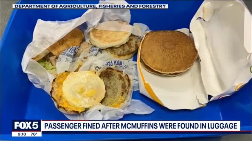 Airline passenger fined for Egg McMuffins in luggage