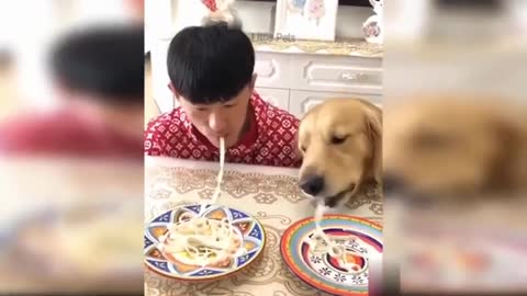 Baby Dogs - Cute and Funny ﷼ ¤ ƒ