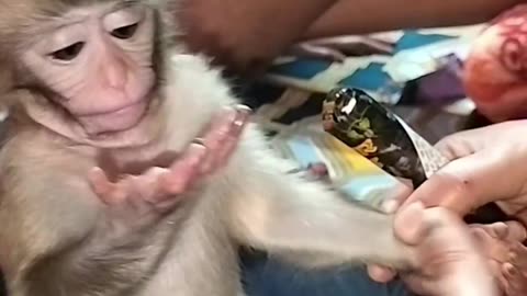 Funny videos 🤣🤣🤣🤣