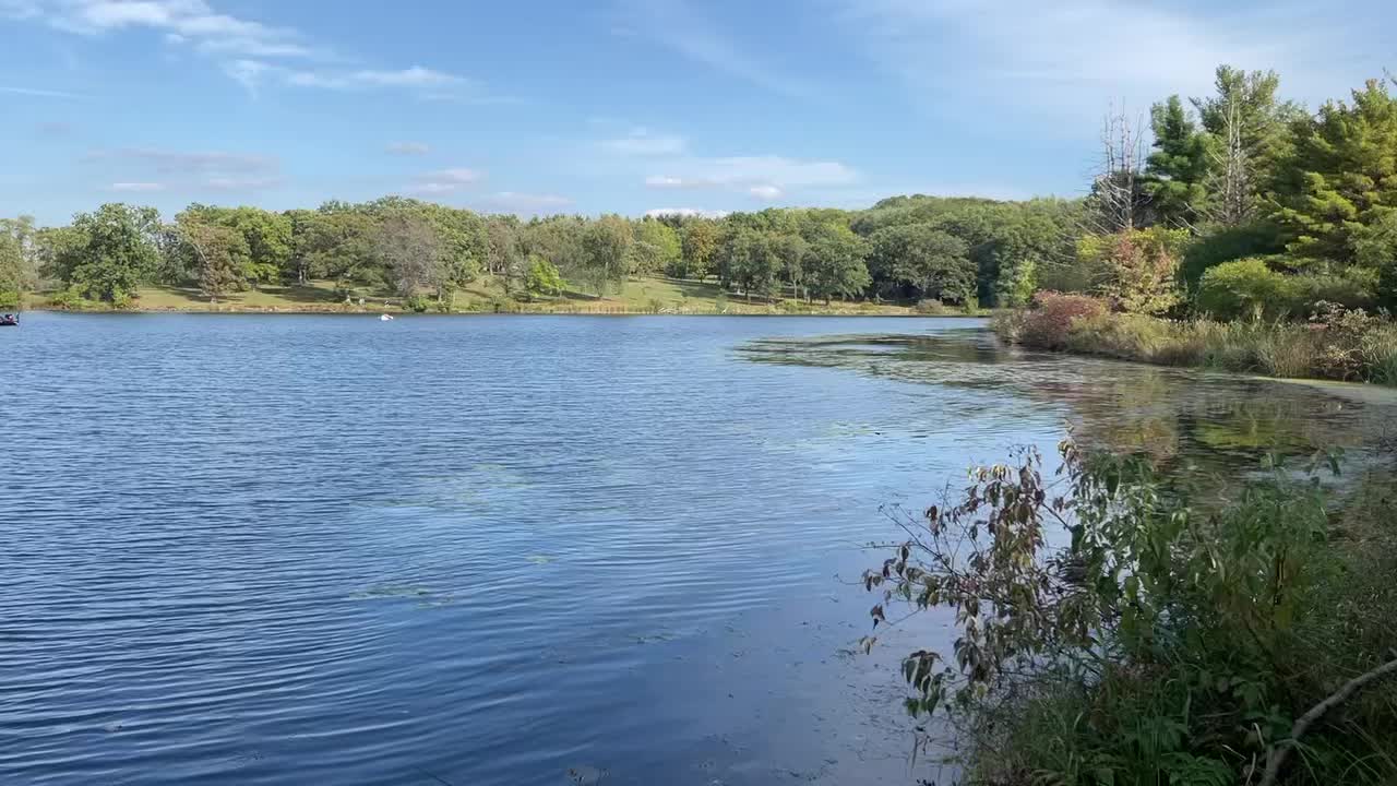 Amazing view of clean pond