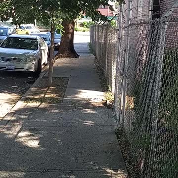 BW are not the best choice for me as a BM