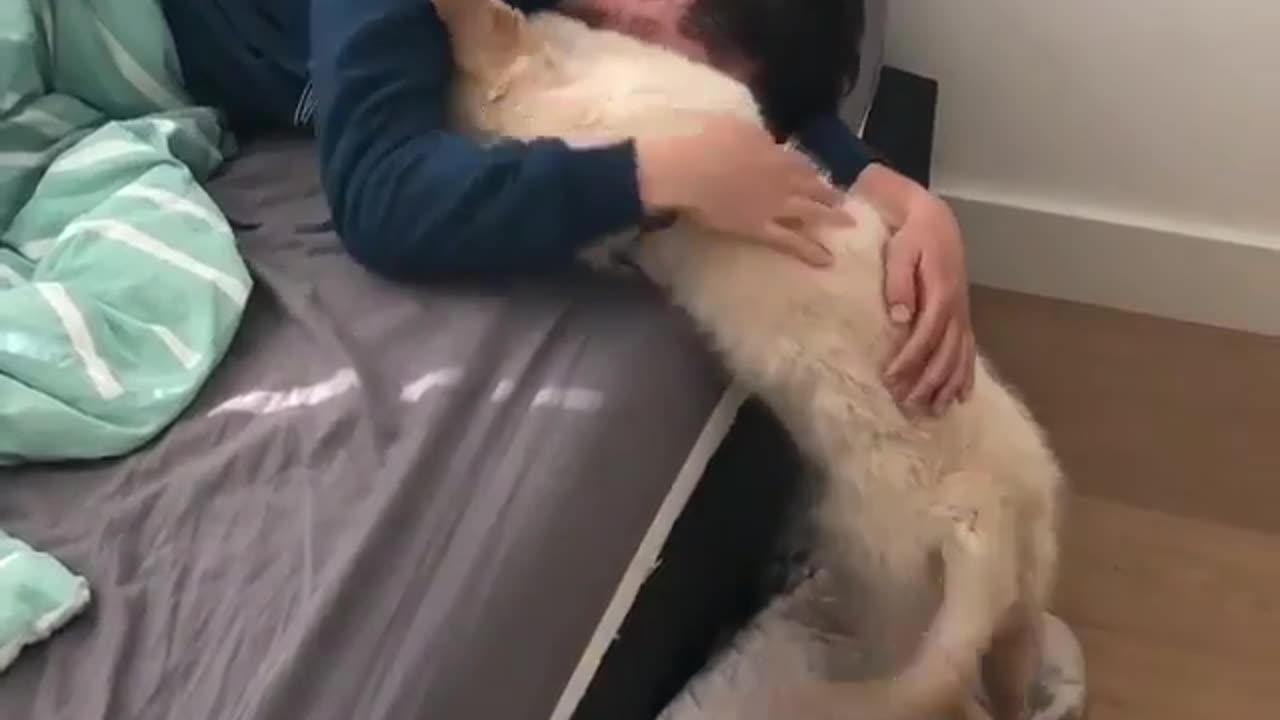Cute and funny animals