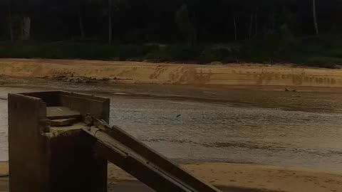 7.9.2024 The Barron River, Kuranda (7)