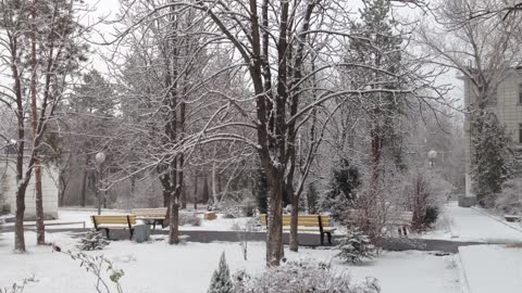 Beatiful fields of snow