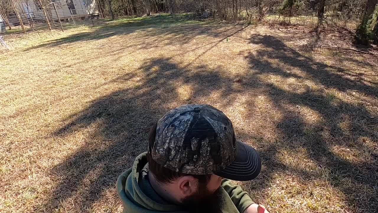 Crow target plinking