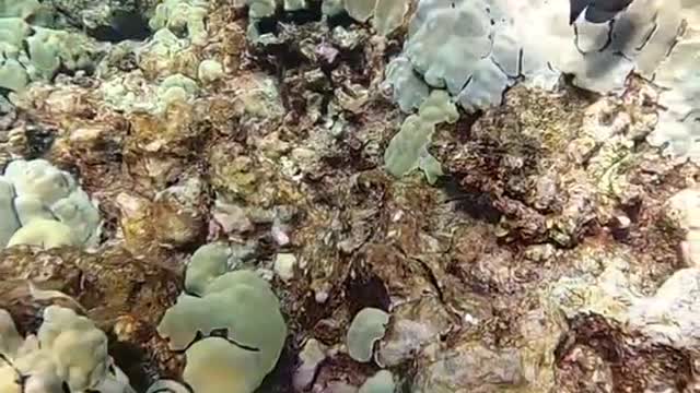 happy#haveablessedday