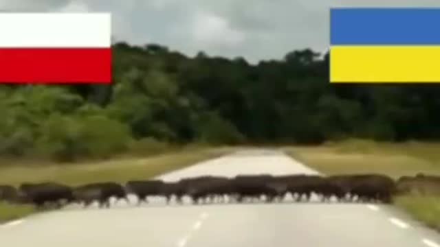 Migrace z Ukrajiny do Polska
