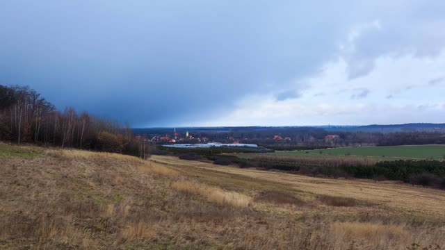 5.2.2022 pies bokser