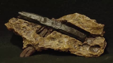 400 Million Year Old Hammer Found In Texas