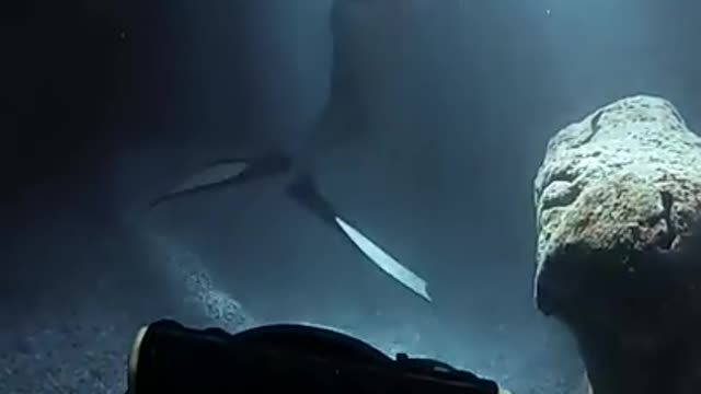 Risking it all for EPIC Cave Photos