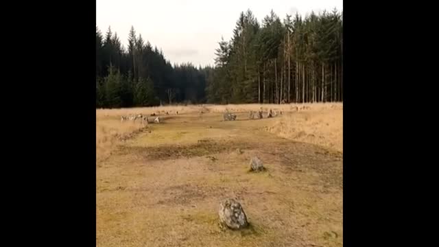 Ancient stone circle. Dartmoor. GoPro