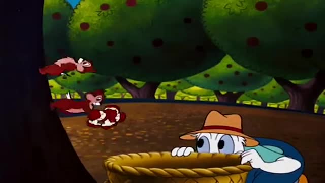 Donald Duck Chip And Dale Cartoons Part 7