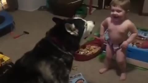 Dog smile and play with child