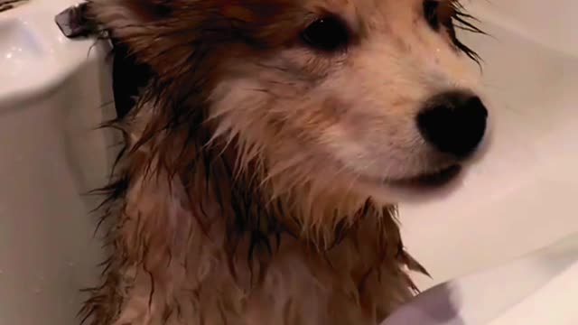Do you still want to take a bath?