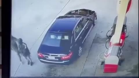 Dude pulls gun on teen that tried to steal his Mercedes-Benz