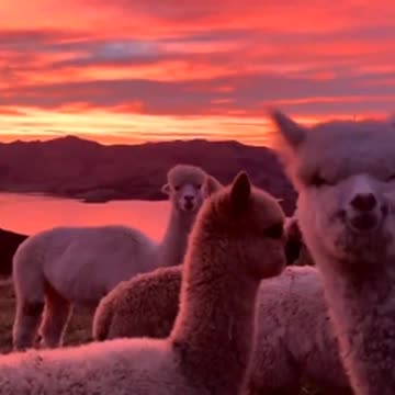 Sunset in New Zealand