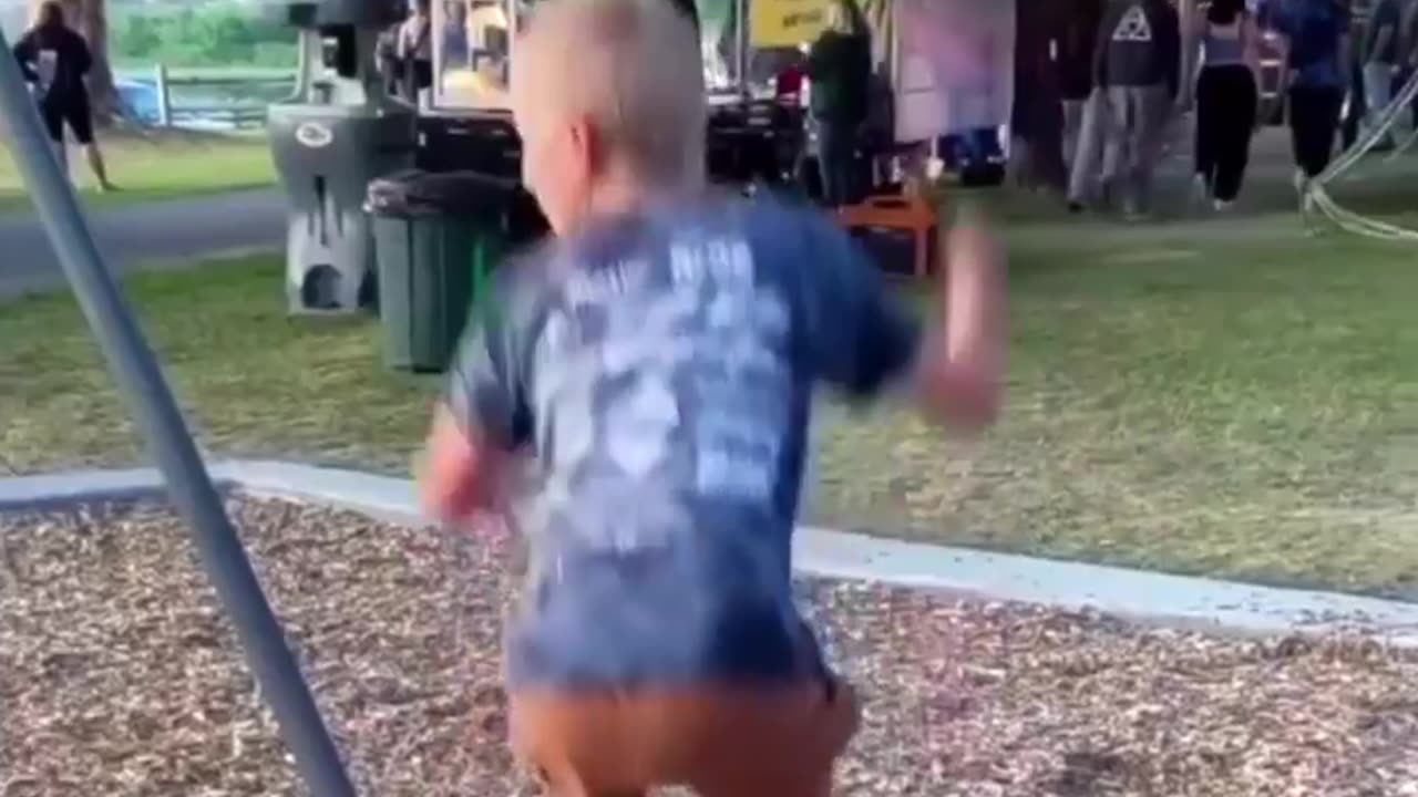 funny vieos