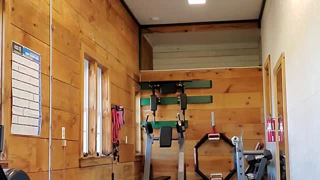 Exercise of thr week: renegade rows