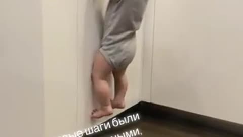 Funny videos