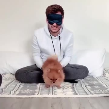 Can you recognize your pet blindfolded?