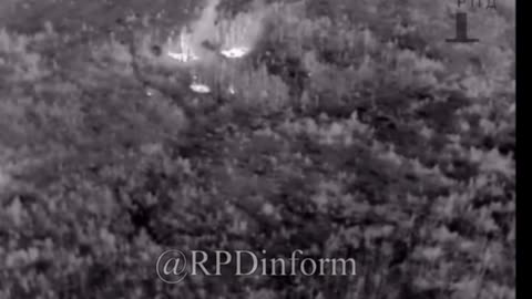 Burning UKR out of the forest